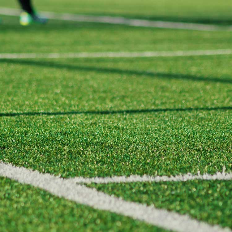 Sports Turf Management