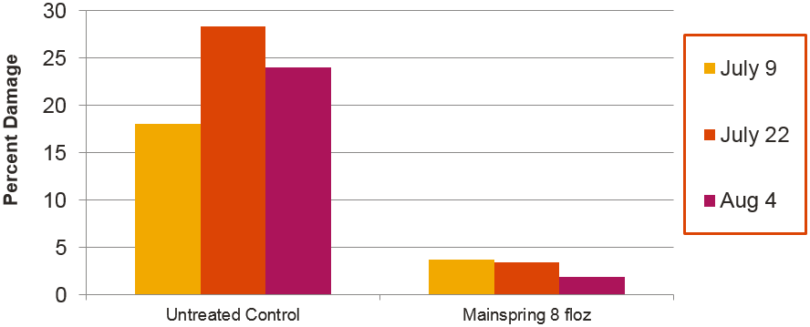 Control of Japanese Beetles on Stewartia Trees